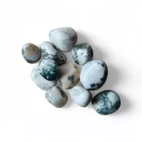 Tree Agate Tumbled Stone